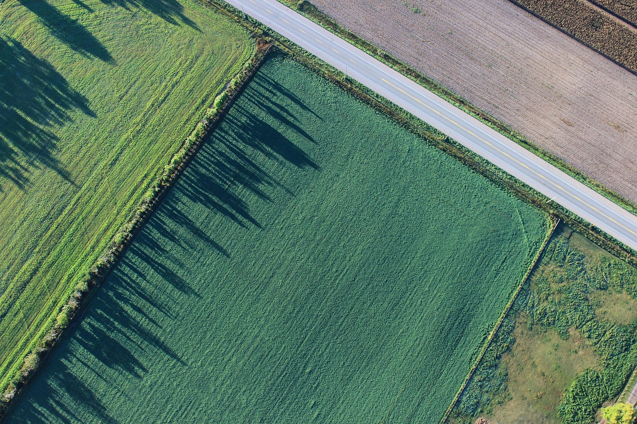 Luchtfoto van Noord-Nederlands agrarisch landschap met weilanden en dorpen in Drenthe, Groningen of Friesland
